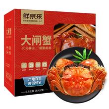京东PLUS：鲜京采 鲜活大闸蟹 全母蟹3.0两 4对8只 去绳足重 蟹类螃蟹河蟹生鲜礼盒