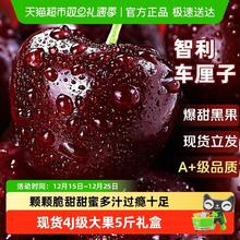 京运达 智利进口车厘子新鲜水果礼盒应当季大樱桃2j 大果5斤25号发货