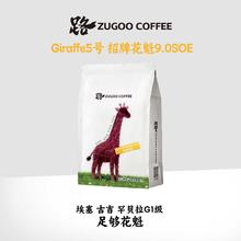 足各 Giraffe5埃塞G1 花魁9.0SOE 咖啡豆 30g