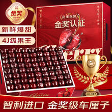 悠轶 智利车厘子樱桃 2.5kg 巨无霸果3JJJ级 单果30-32mm