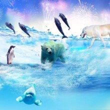 美团 元旦可约 天津海洋酒店 2大1小亲子房+早餐+海洋公园和冰雪乐园 含门票