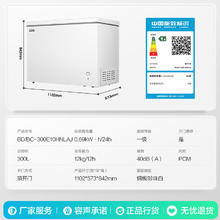 容声 冰柜冷藏冷冻转换单温高效减霜低噪卧式冷柜 BD/BC-300E10HNLAJ