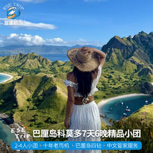 印尼巴厘岛科莫多纯玩7天6晚 2-4人小团 佩尼达罗威纳粉红沙滩
