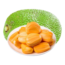 越南进口 菠萝蜜 带皮一整个 干苞 生鲜水果 8-10斤 A级 商超专供