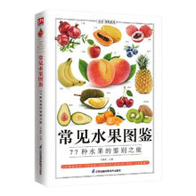 《常见水果图鉴》