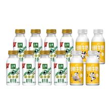 伊利 金典鲜牛奶235ml*8瓶+高钙小黄瓶235ml*4瓶 营养早餐低温奶 12瓶