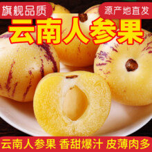 牛爱鲜 水果云南石林人参果生鲜水果新鲜水果 3斤净重2.6斤单果50-80g