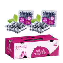 佳沃（JOYVIO）云南蓝莓14mm+ 4盒礼盒装 约125g/盒 新鲜水果