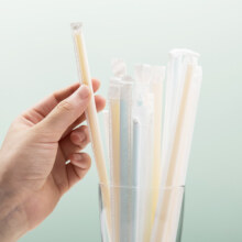 茶花（CHAHUA）  一次性吸管 独立包装：可弯吸管 100支