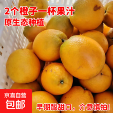 高山老树纽荷尔脐橙水果应季多汁新鲜采摘70-75mm 纽荷尔橙-带箱2斤  70-75mm