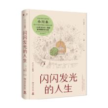 限移动端：《闪闪发光的人生》（精装）