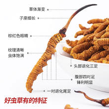 雷允上 养悦心冬虫夏草大虫草5g礼盒父母