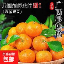 闭眼买：新鲜砂糖橘当季产地采摘水果橘子皮薄超甜砂糖橘带箱3斤