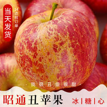 觅百果 云南昭通丑苹果冰糖心苹果 10斤中果