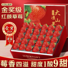 梓颐大凉山红颜草莓99牛奶油草莓【多地次日达】草莓水果礼盒圣诞礼物 贡品奶脂级|2盒高端礼盒装