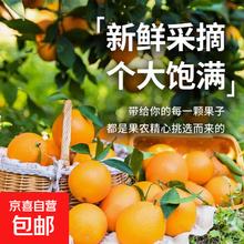 闭眼买：江西赣南脐橙 赣州大果 当季现摘新鲜 9斤净重（60-70mm带箱10斤小果）