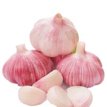 京喜加 紫白皮蒜精品大蒜特价商用调味料蒜瓣 10头 200g 单果3.5-5cm
