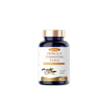 VICARING 精氨酸人参牡蛎片 鹿鞭玛咖片 90粒/瓶