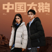 需凑单：网易严选 燕云联名焱3.0 高奢95%白鹅绒羽绒服 黎明 L（175/96A）