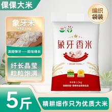 倮倮象牙米 5斤 晚稻香米 长粒大米 农家丝苗米