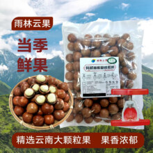 京鲜生 云南有机鲜夏威夷果 净1000g 鲜果 奶香四溢 源头直发