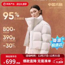 网易严选 中国大鹅x燕云联名款 焱2.0升级经典95白鹅绒羽绒服 高蓬五防大被子 24年基础款-晨雾（短款） 女款 S（165/88A）