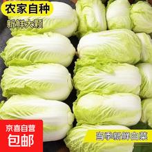 云南 高原黄心娃娃菜 2斤