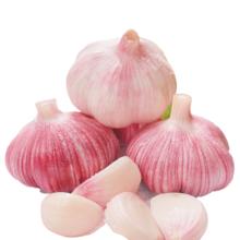 紫白皮蒜 水果大蒜 即食生鲜蔬菜 1斤 单果3.5-5cm