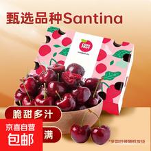Santina 桑提娜 智利车厘子 巨无霸3J 2500g