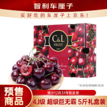 京鲜生 智利Santina车厘子超级巨无霸4J级5斤 果径约32-34mm 水果礼盒