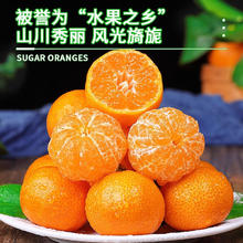 蒲恋 广西砂糖橘 中果5斤 单果40-45mm 净4.5斤