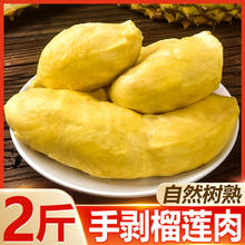 鲜冻泰国金枕榴莲果肉 1000g（净重500g*2）