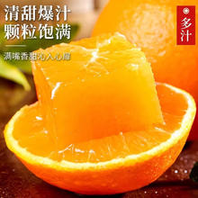 果领队 赣南脐橙 手剥纽荷尔甜橙 10斤 净重9斤 70-90mm起 十年老树果