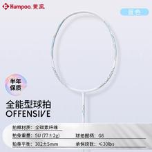 薰风 DS-203全碳素纤维羽毛球拍入门球拍超轻耐打单拍家庭娱乐运动羽球拍