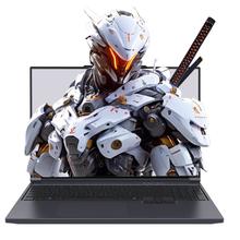 机械革命 极光X 16英寸 i7-13700HX RTX5060 180Hz 游戏本 16G 1T 灰色