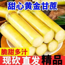 25年头茬黄金甘蔗 产地直发新鲜现摘爆甜多汁 整箱9斤带箱 净重8.5斤 超值装