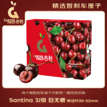 京鲜生 GarcesFruit吉制 Santina智利车厘子3J级 5斤礼盒源头直发