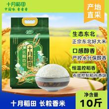 十月稻田 东北大米 长粒香 5kg 真空包装