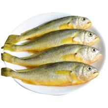 简鲜 东海冷冻活冻小黄花鱼 海鲜水产 1000g 袋装