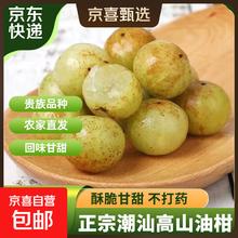正宗潮州高山油柑果 2斤 当季鲜果 生津解渴 产地直发