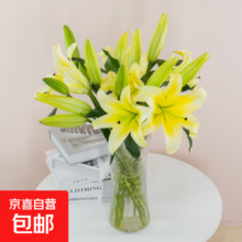 黄色香水百合 10朵