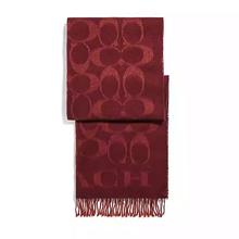保暖服饰：COACH Scarf图案披肩围巾