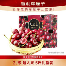 京鲜生 智利进口车厘子2J级5斤礼盒装 果径约28-30mm 送卡尺
