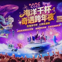 美团 珠海长隆海洋王国 跨年夜场标准票 团购券