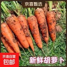 新鲜胡萝卜 国产 带箱 2斤