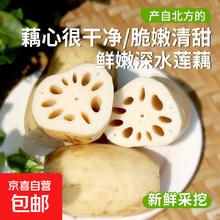 精品莲藕 国产 新鲜莲藕 2斤