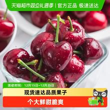 本来果坊 智利进口车厘子XL到4J级（现货）