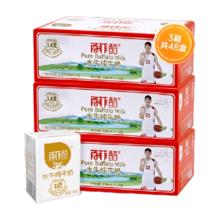 百菲酪 3.8g水牛纯牛奶 200ml*48盒 儿童学生成长营养水牛奶 广西