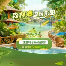美团 广州森林海温泉度假村 金叶子私汤泡池 复式2房1厅 2大2小畅玩