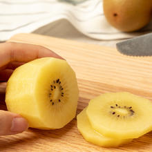 Zespri 佳沛 新西兰金奇异果16粒-33粒原箱装鲜果